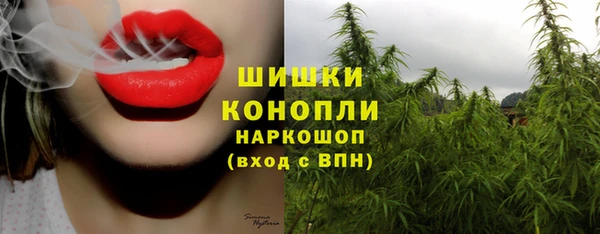 прущие крисы Абаза