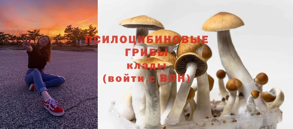гидропоника Абинск