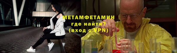 шишки Надым