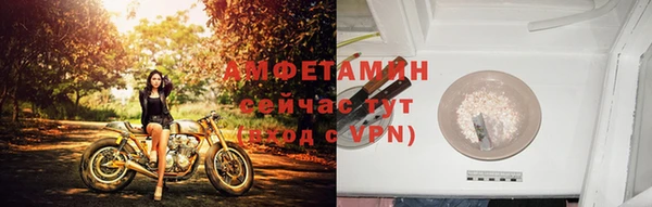 прущие крисы Абаза