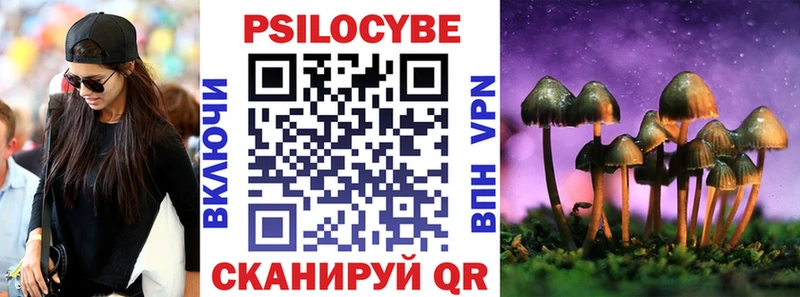 как найти закладки darknet какой сайт Псилоцибиновые грибы ЛСД Сычёвка